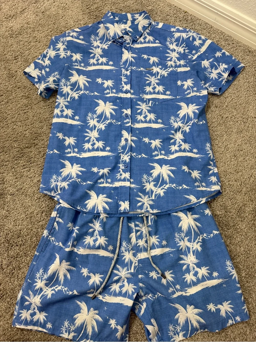 Men's Blue Palm-Print Swim  Set